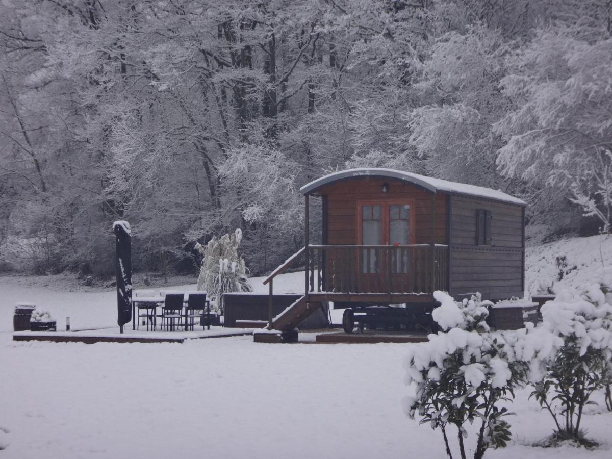 فيلا L'Oasis Des Pyrenees Campuzan المظهر الخارجي الصورة