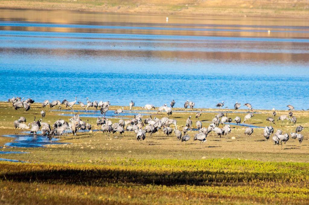 فيلا L'Oasis Des Pyrenees Campuzan المظهر الخارجي الصورة