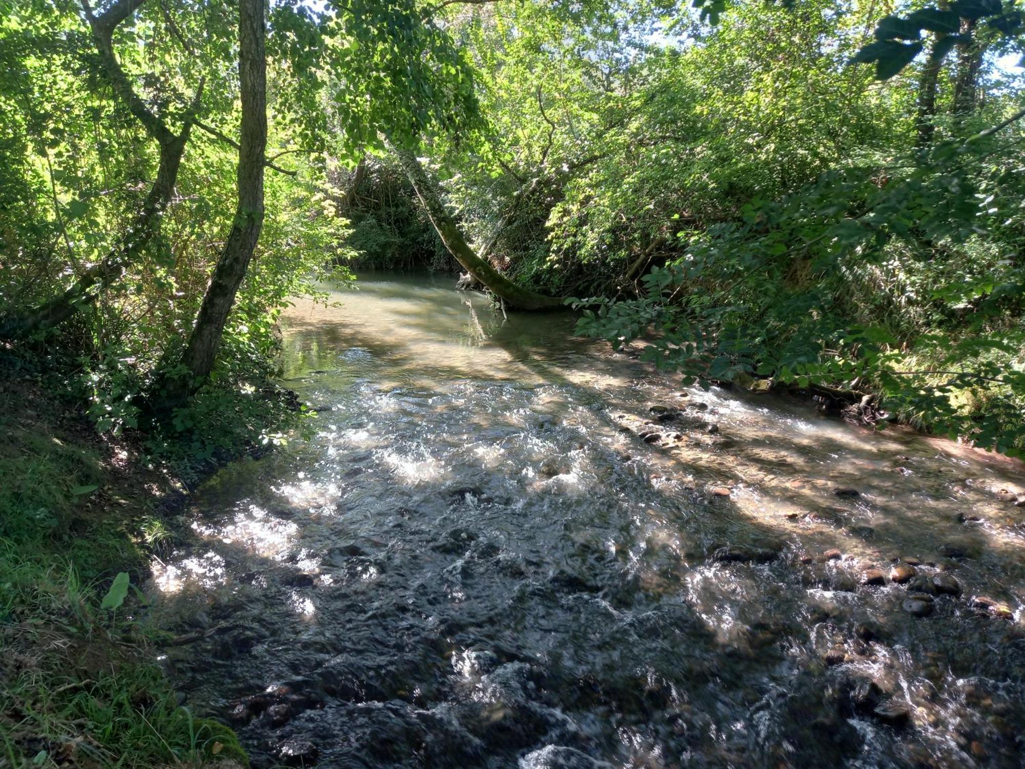 فيلا L'Oasis Des Pyrenees Campuzan المظهر الخارجي الصورة